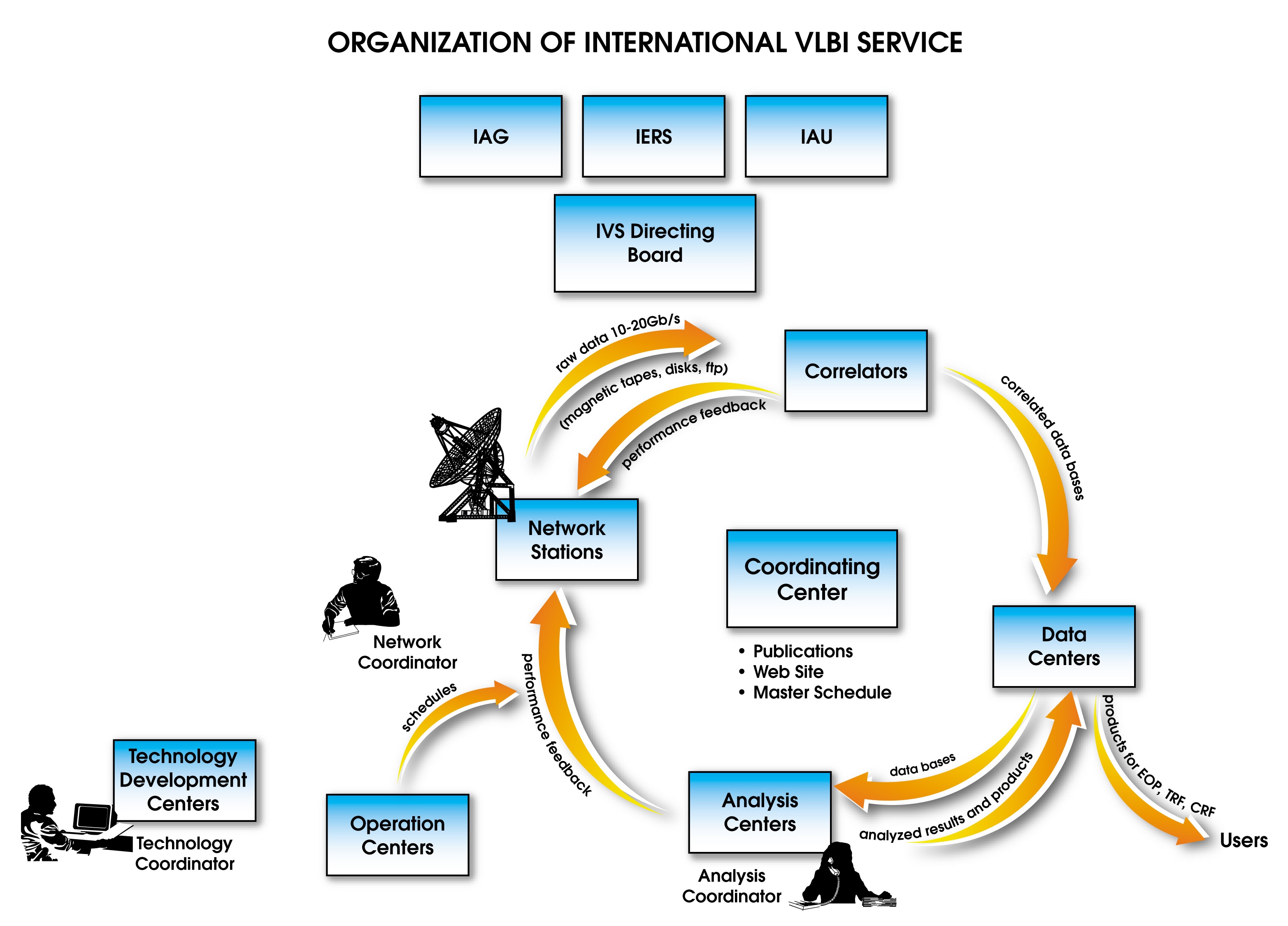 IVS organization