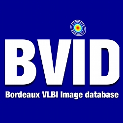 Logo_BVID